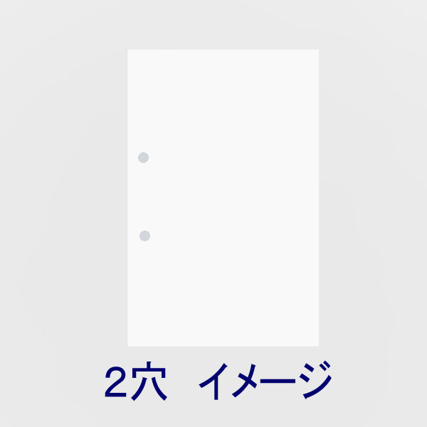 コピー用紙 マルチペーパー マイナス6% 2穴タイプ A4 1冊(500枚 コピー用紙 マルチペーパー マイナス6% 2穴タイプ A4 1冊(500枚