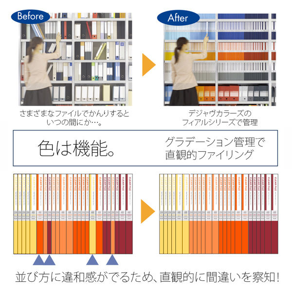 プラス デジャヴクリアーファイル24P FC124DP BRR 1冊 - アスクル