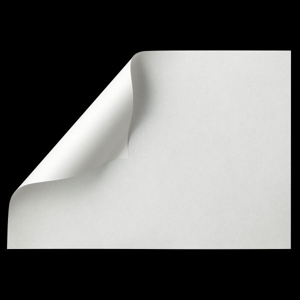 アスクル領収証用紙 B6 白色 無地 1箱（1000枚入） オリジナル - アスクル