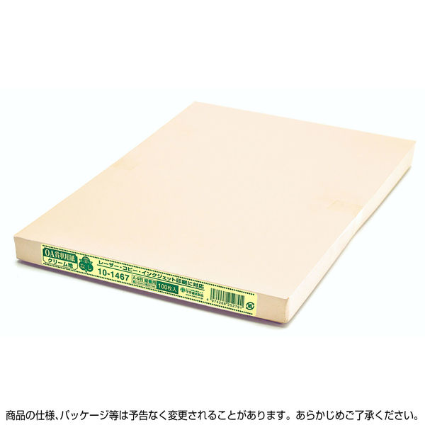 ササガワ タカ印 OA賞状用紙 雲なし A4横型タテ書き用 クリーム 10
