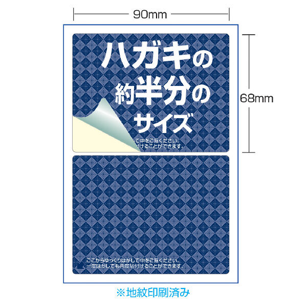 サンワサプライ　一度だけはがせる目隠しシール（2面付）　100×148mm　JP-HKSEC9　1冊（20枚入）