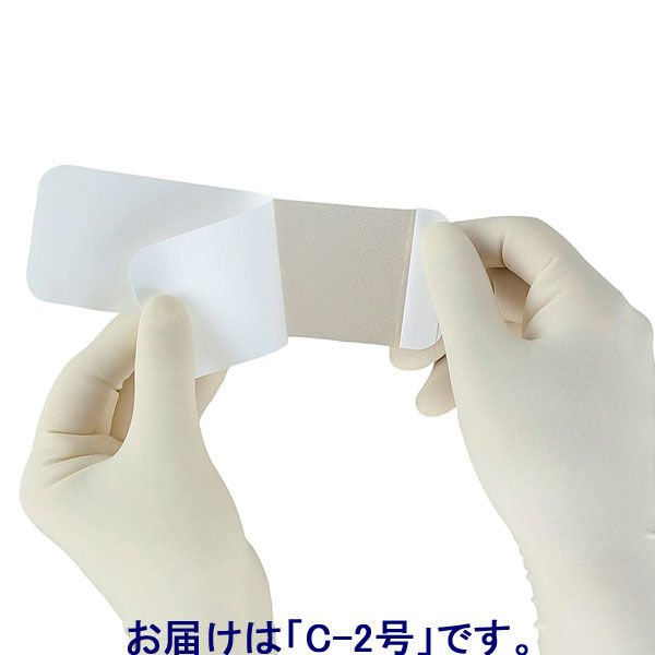 アルケア カラヤヘッシブ・クリアータイプ Cー2号 15185 1箱(30