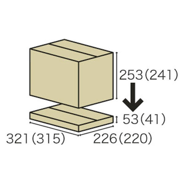 底面A4】 容量可変ダンボール（深型宅配タイプ） A4×高さ53
