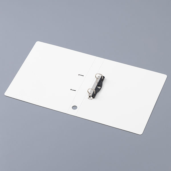 リヒトラブ リクエスト D型リングファイル A4タテ 背幅34mm 白