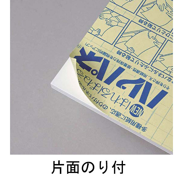 プラチナ ハレパネ A1判 5mm厚(片面糊付)×10枚 AA1-5 のり付きパネル