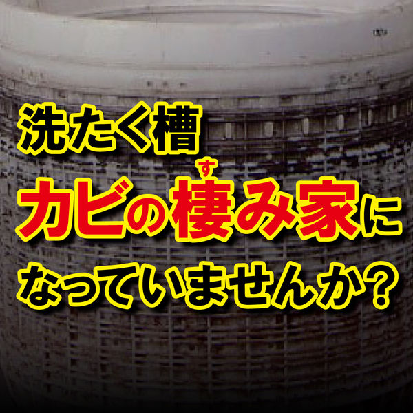 エステー 洗浄力（センジョウリキ） 洗たく槽クリーナー 1個 - アスクル