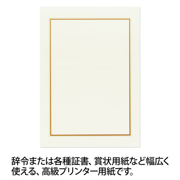 オキナ OA対応辞令・賞状用紙 A4 210×297ミリ SZA4 1セット（100枚：10枚入×10袋）