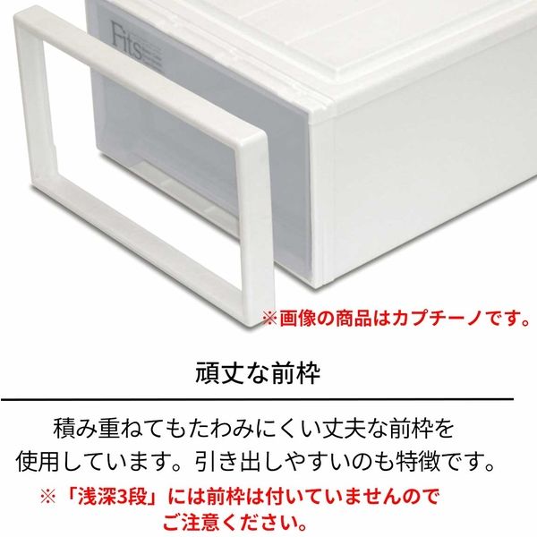 引き出し収納】 天馬 フィッツケースクローゼットMー30