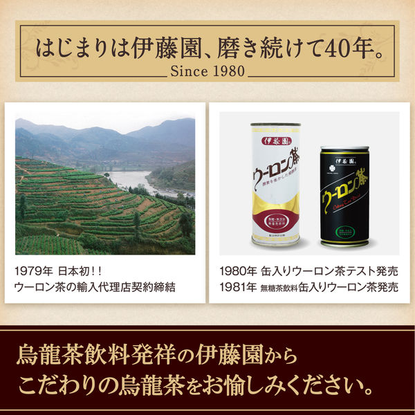 伊藤園 ウーロン茶 500ml 1箱（24本入） 烏龍茶 中国茶 お茶 ペット