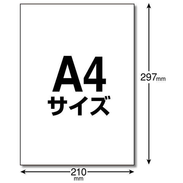 エレコム 宛名・表示ラベル／きれい貼／フリーカット／２０枚 EDT-FKEXM 1袋（20枚）