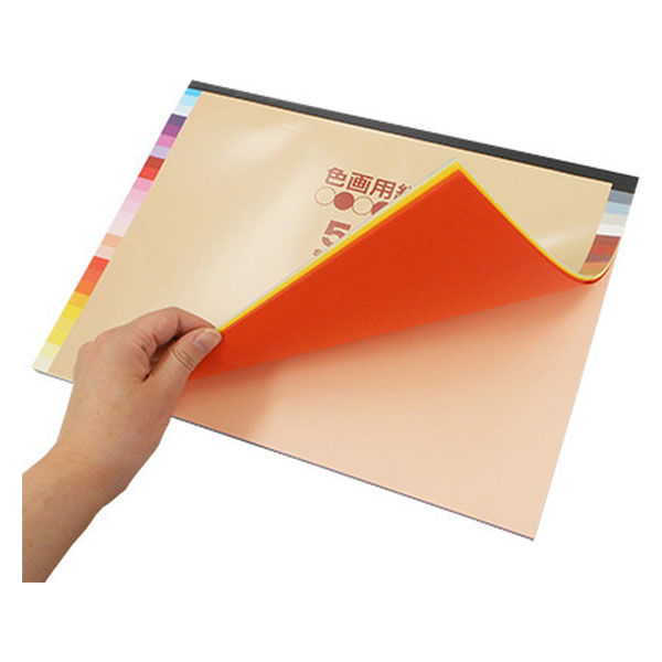 Amazon | エヒメ紙工 色紙 色紙文庫 250×280mm 50枚入 N-ES