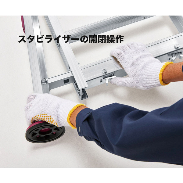 長谷川工業 脚部伸縮式 3連はしご ハチ型スタビライザー付 9m