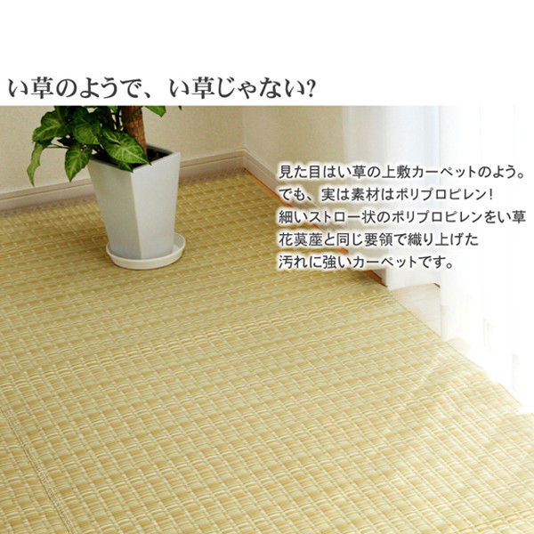 イケヒコ 洗える PPカーペット 『バルカン』 グリーン 本間8畳（約382×382cm） 1枚（直送品） - アスクル