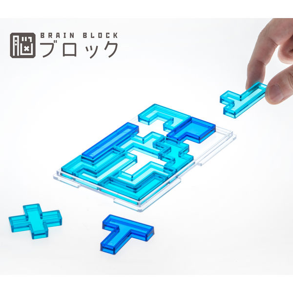 テンヨー 脳ブロック 永久に遊べるパズル ペントミノ レベル2 TBB-02 1個