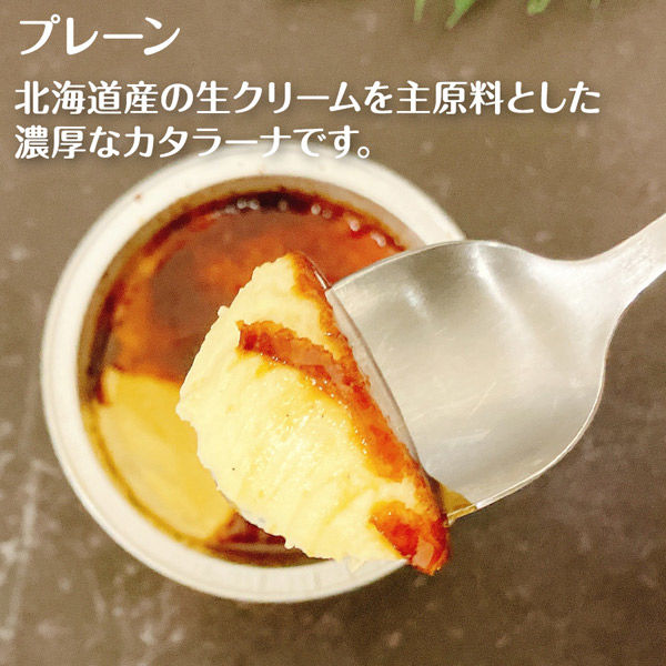 FUJI 5種の濃厚カタラーナ スイーツギフト 1箱（直送品） - アスクル