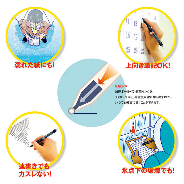 赤、黒芯白、タン濃、タン薄、各10本 赤、黒芯白、タン濃、タン薄、各10本 赤、黒芯白、タン