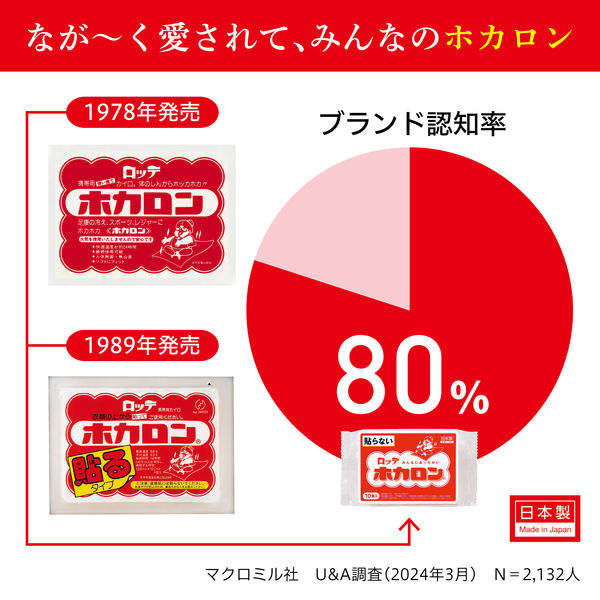 ロッテ ホカロン くつ下に貼るカイロ 黒 1箱（15足入） くつした