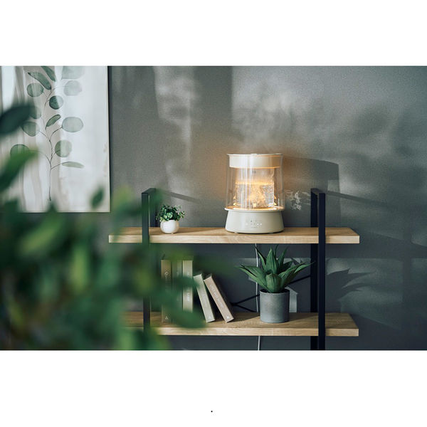 QUADS ガラススチーム加湿器 GLASS(グラス) グレー QS549GY 1台（直送