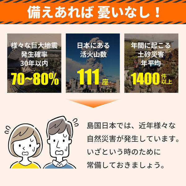 防災 乾電池 単1形 10本入 1箱 アルカリ乾電池 単1電池 電池 12年保存