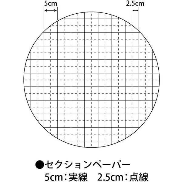 ゴークラ マス目入模造紙#70 セクションペーパー 1091×788mm 81.4g