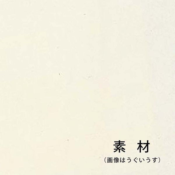 ゴークラ OA和紙 43g/平方m B4 白 WP-58124 １セット（1000枚：100枚 