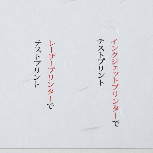 大直 大礼紙 白 A4用封筒 5枚入 205003110 1セット（5枚入）