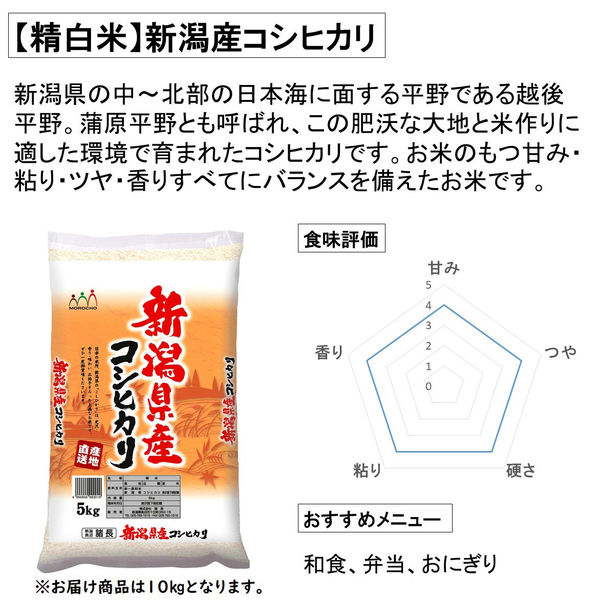 新潟県産 こしひかり 10kg 【精白米】 令和5年産 米 お米 コシヒカリ