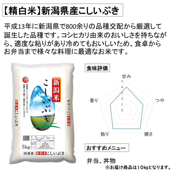 新潟県産 こしいぶき 10kg 【精白米】 令和6年産 お米 白米
