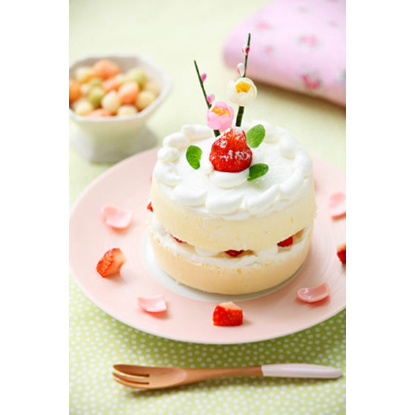 ソニーエンジェル 誕生日ケーキ ハッピーバースデー 1ケース 12