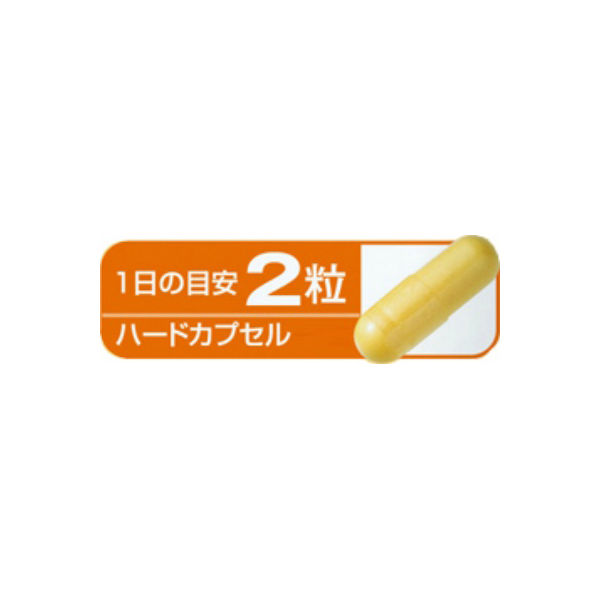 小林製薬の栄養補助食品 コエンザイムQ10 α-リポ酸 L-カルニチン 