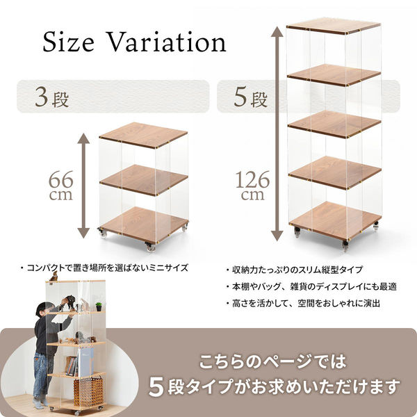 軒先渡し】B.Bファニシング アクリルラック 5段 幅455×奥行455×高さ