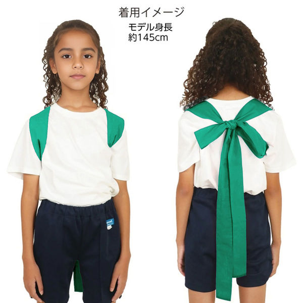 アーテック ロングカラーたすき 緑 19058 1セット(1本×3)（直送品