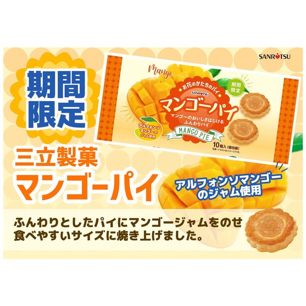 ジャム用マンゴー　十キロ ふじえだ完熟マンゴー【通販】｜公式オンラインストア