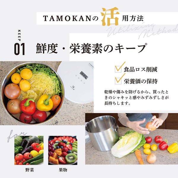 ランテルメディエール 真空保存容器 TAMOKAN 5L ホワイト NQ-5004W 1個