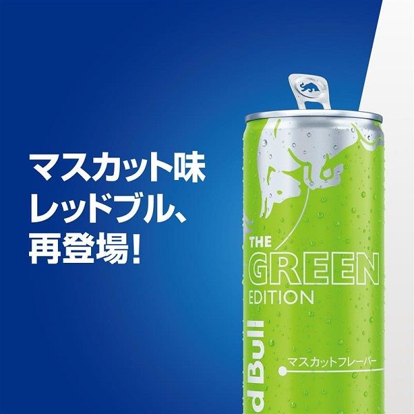 レッドブル・エナジードリンク グリーンエディション 250ml 1