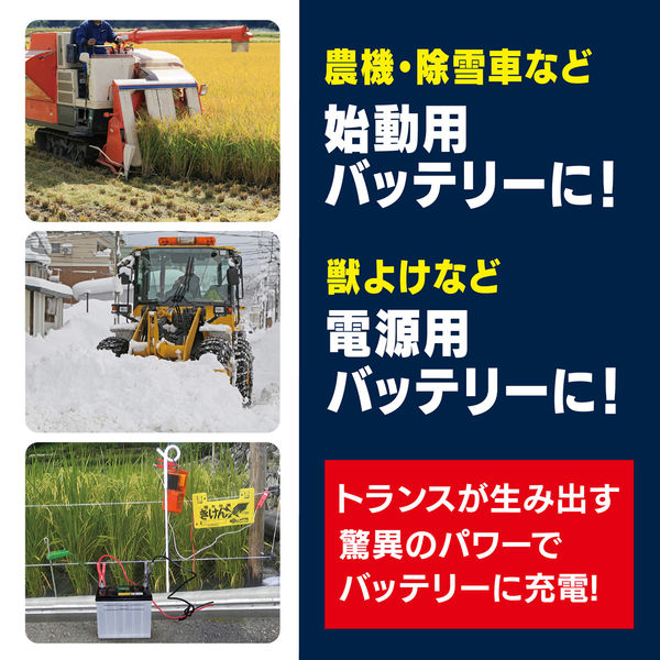 大自工業 バッテリー充電器 12-24V 12A RC-10 1個（直送品