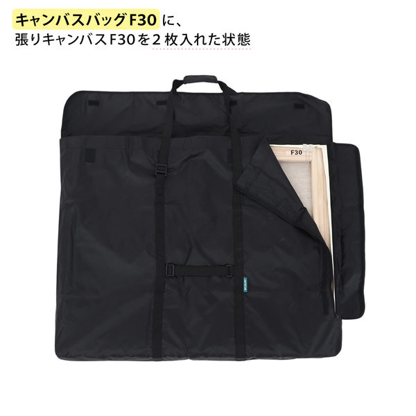 アムス アルテージュ キャンバスバッグ F30 062730 1個（直送品