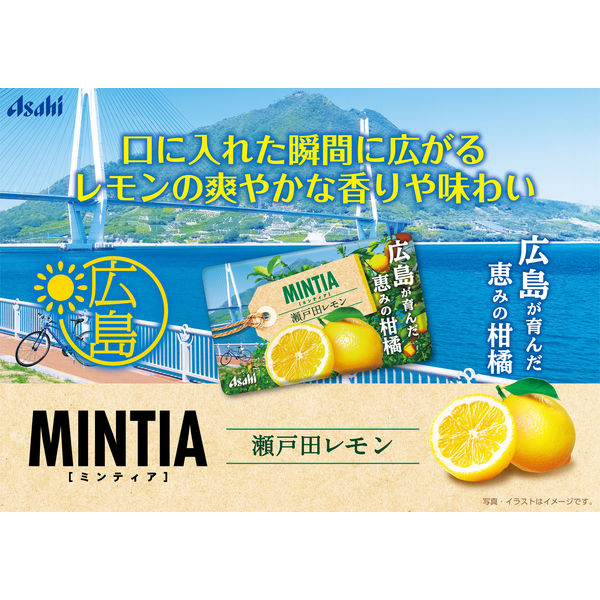 ミンティア 瀬戸田レモン 1セット（1個×20） - アスクル