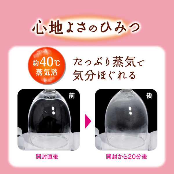 旧品】めぐりズム 蒸気でホットアイマスク 無香料 1セット（12枚入×2箱