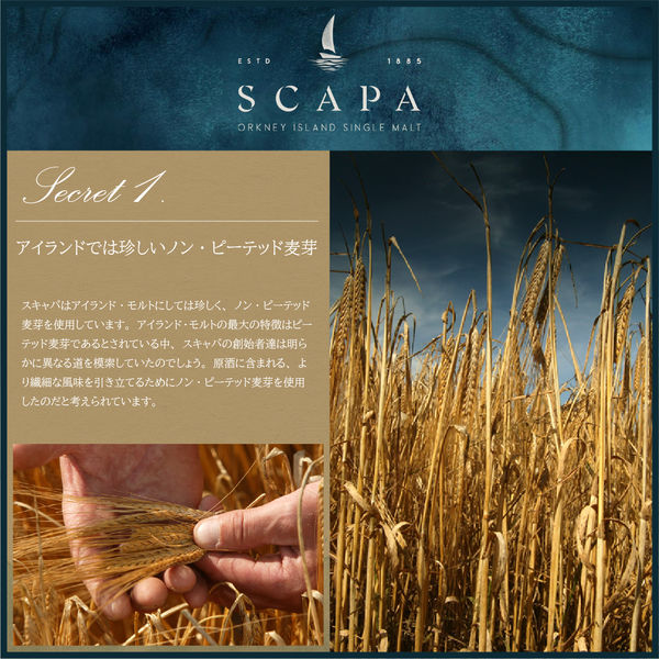 スキャパ10年 シングルモルト 48度 700ml 1本 アイランズ スコッチ