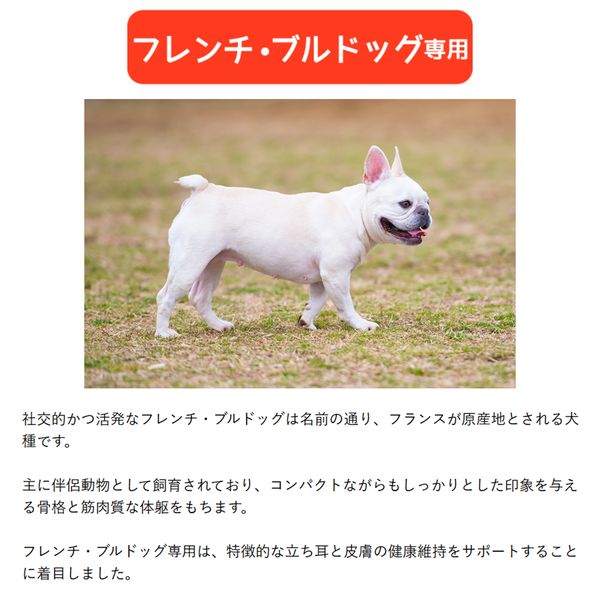 ウェルケア フレンチ・ブルドッグ専用 アダルト～シニア 中粒タイプ