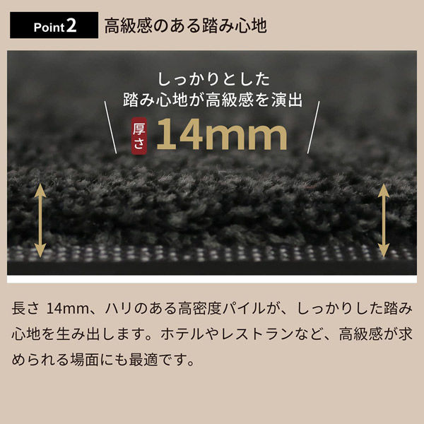 クリーンテックス・ジャパン 玄関マット Eco Absorb 60×90cm クリーンテックス・ジャパン 玄関マット Eco Absorb 60×90cm
