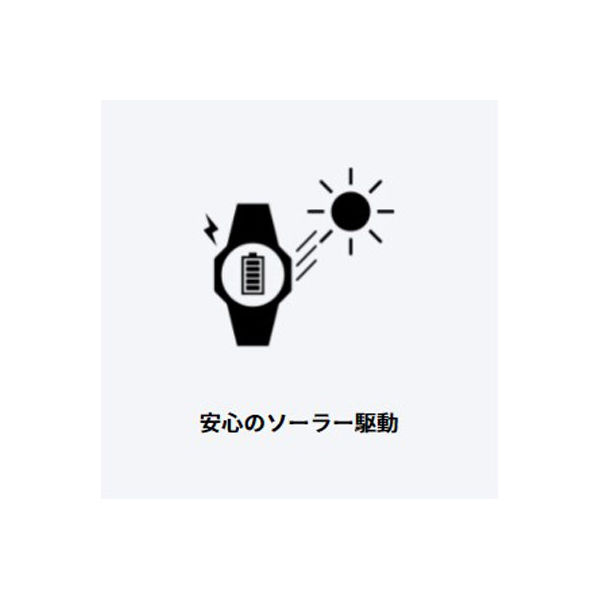 カシオコレクション】CASIO STW-1000-2JH 1本（直送品） - アスクル