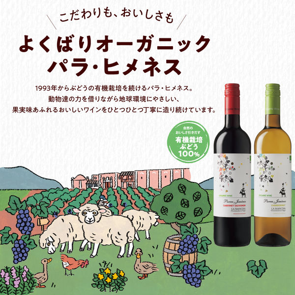 酸化防止剤無添加カベルネソーヴィニヨン