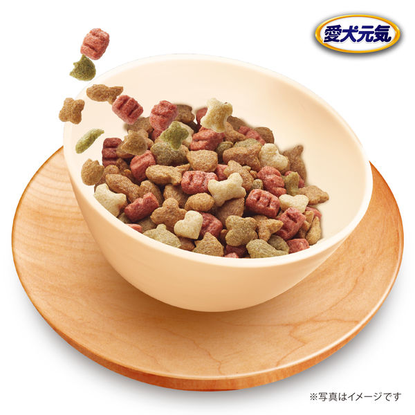 天然鹿肉フード Nyummy for Dog(ﾆｬﾐｰ) 成犬用 500g - 猫株式会社