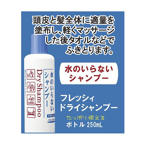 フレッシィ ドライシャンプー（ボトル） 250ml ファイントゥデイ