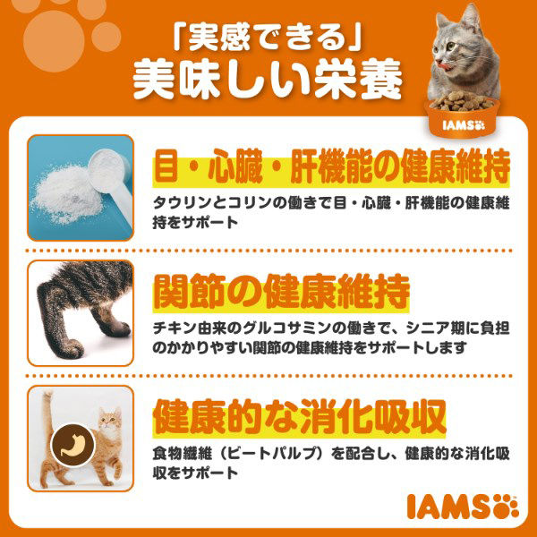 Amazon.co.jp: アイムス (IAMS) ドッグフード 11歳以上用 毎日の