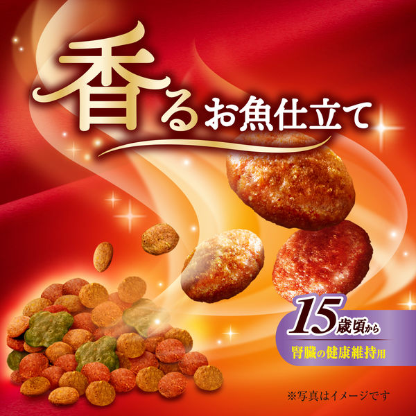 銀のスプーン 三ツ星グルメ 15歳頃から 4種の味わいアソート 国産 200g（20g×10袋）3個 キャットフード - アスクル