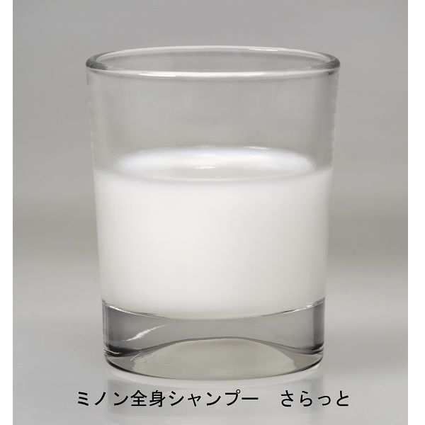 ミノン 全身シャンプーN さらっとタイプ 詰替用 380ml 2個 第一
