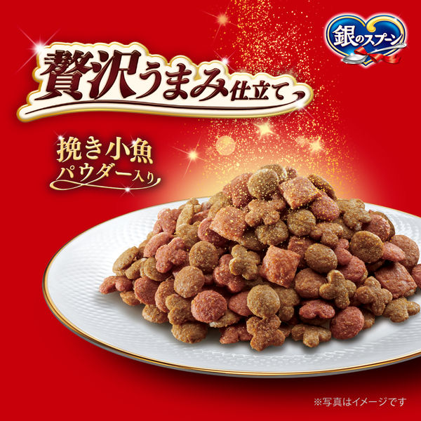 【新品・未開封】このこのごはん ドライフード 1kg×4袋 新品未開封】このこのごはん ドライフード 4袋セット - メルカリ